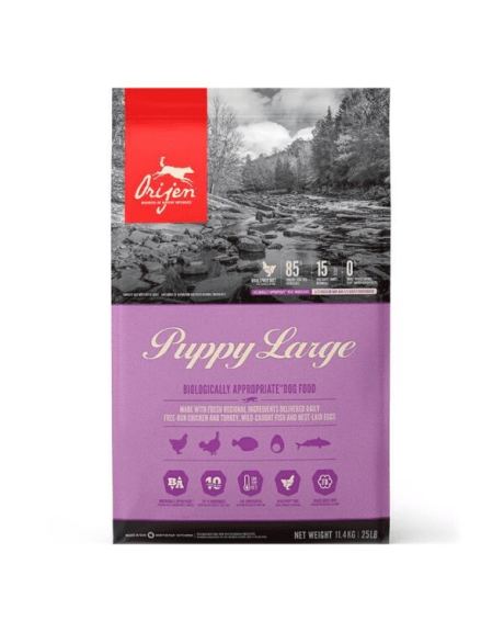 Orijen dry puppy large