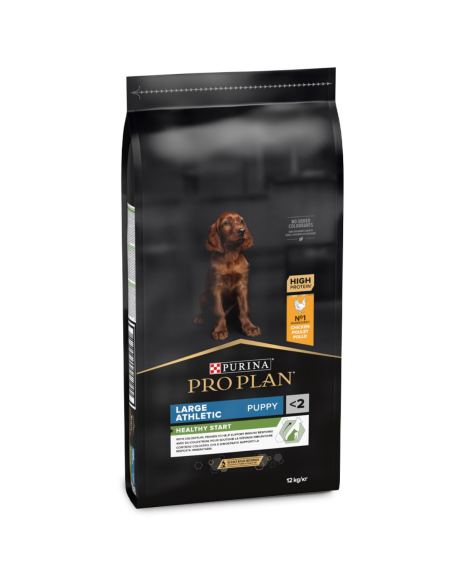 Pro Plan Healthy Start Large Athletic Puppy frango