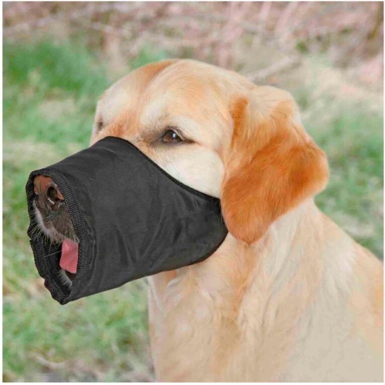 Açaime em nylon Trixie para cães – mordaça ajustável