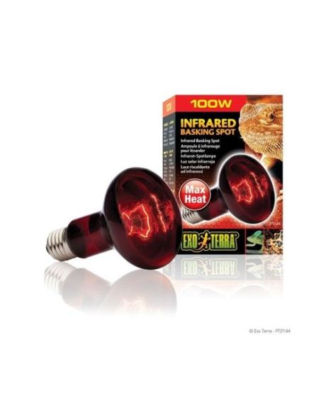 Exo Terra Infrared Basking Spot - 100W