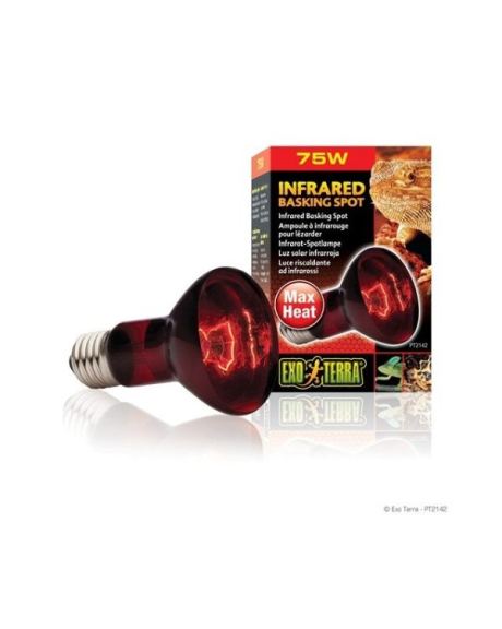 Exo Terra Infrared Basking Spot - 75W