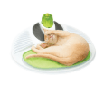 catit senses 2.0 bem estar