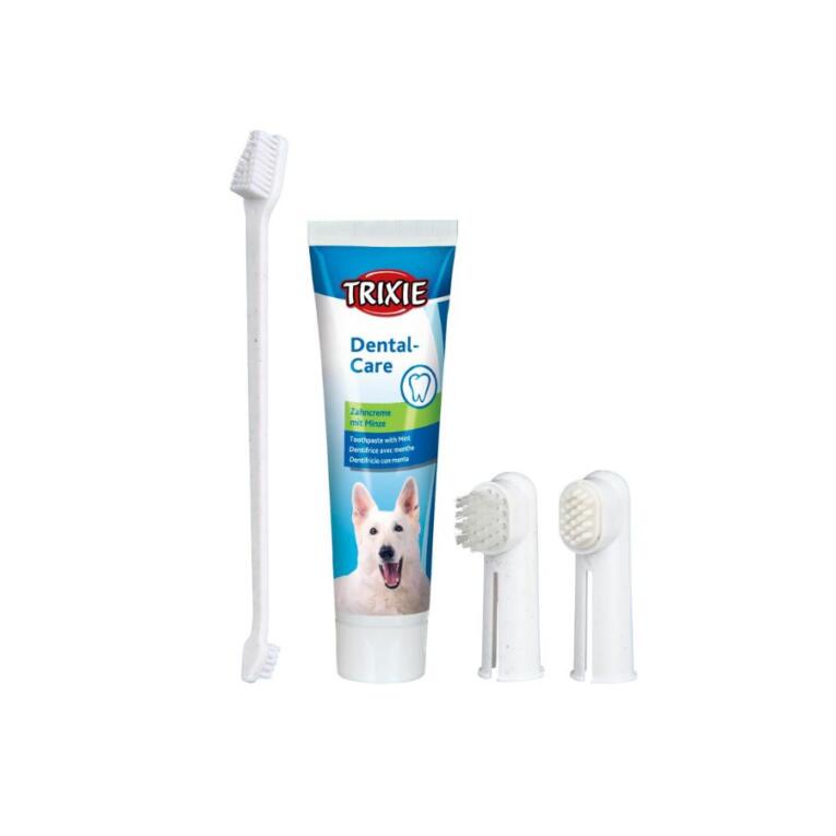 Conjunto de higiene dentária para cães com escova e pasta de dentes