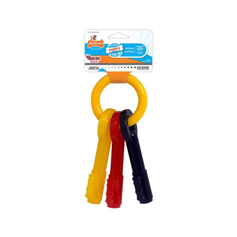 Chaves Nylabone Puppy Teething Keys