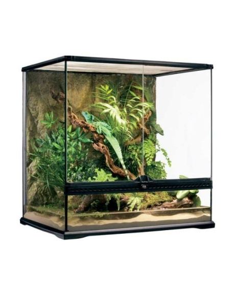 Terrários Tall Exo Terra - medio