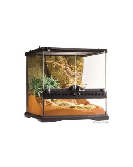 Terrários Wide Exo Terra - mini