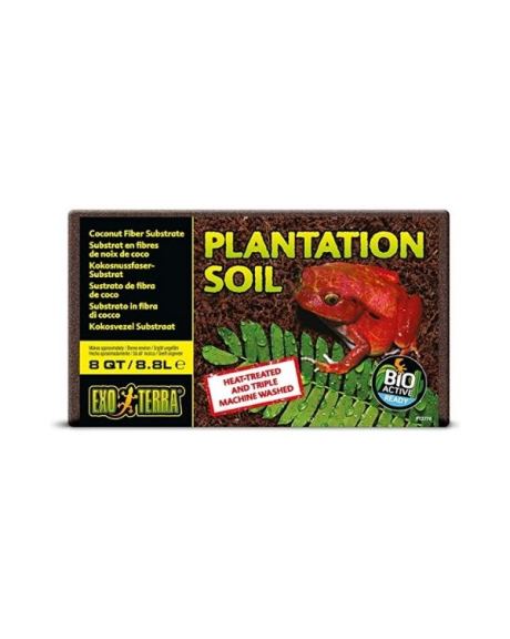 Fibra de coco Exo tera - plantation soil