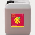 anima Strath 5 L