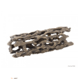 cacto cholla exoterra l
