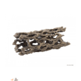 cacto cholla exoterra m