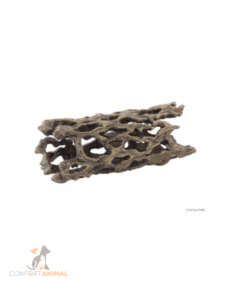 cacto cholla exoterra m