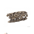 cacto cholla exoterra s