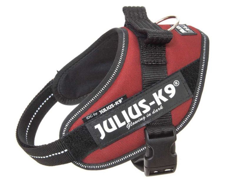 Arnês Julius K9 IDC bordeaux