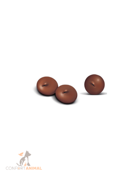 bombons de chocolate para cães