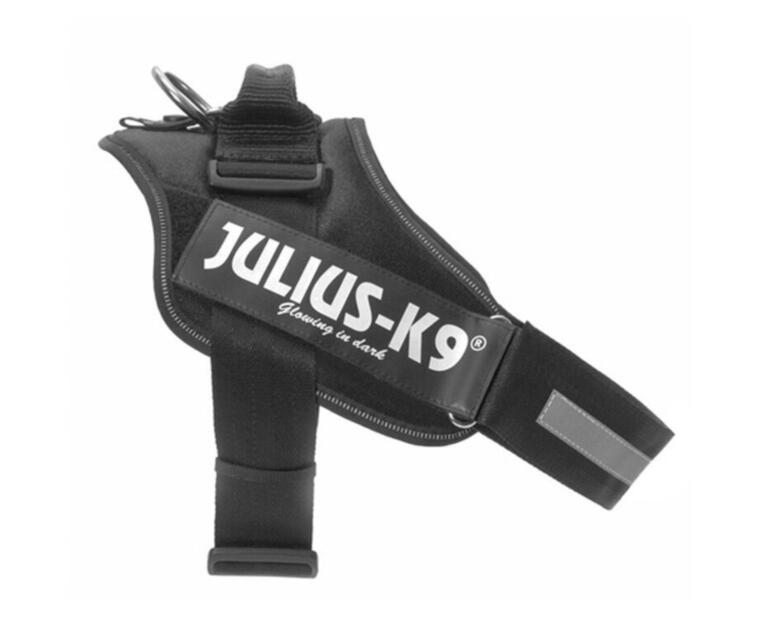 juliua-k9-idc-preto