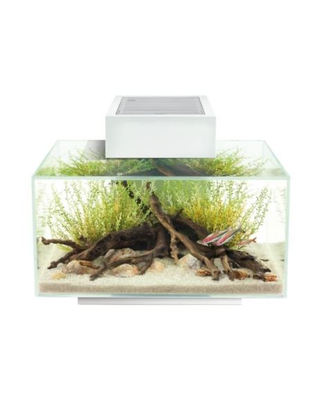 Aquário Fluval Edge 2.0 Branco 23l