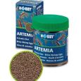 Hobby Ovos de Artémia 2