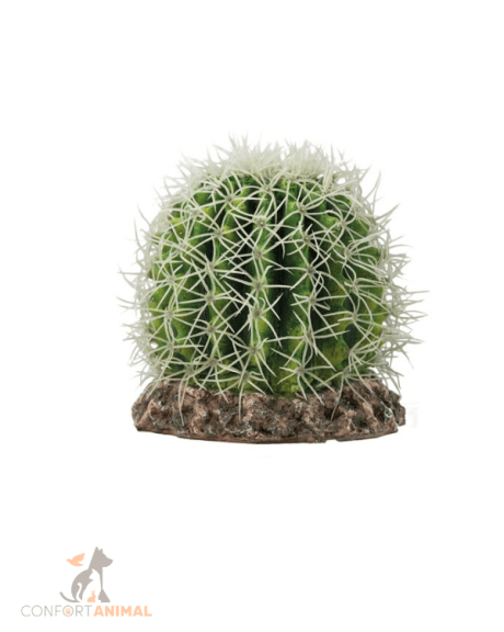cactus sonora hobby