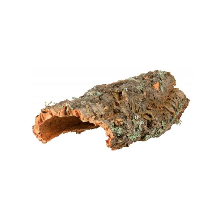 Placa de cortiça natural para terrário