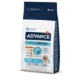 Advance Cão Puppy Maxi Frango e Arroz - 12 kg