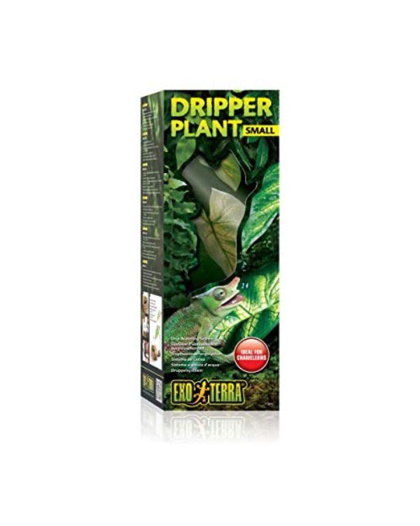 Dripper Plant Exo Terra