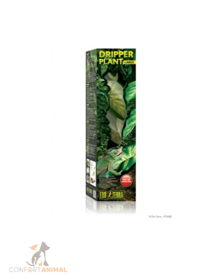 dripper plant exoterra L