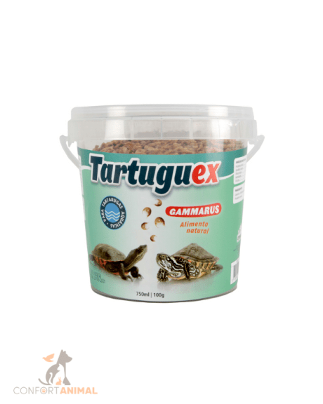 camaroes para tartarugas tartaruguex