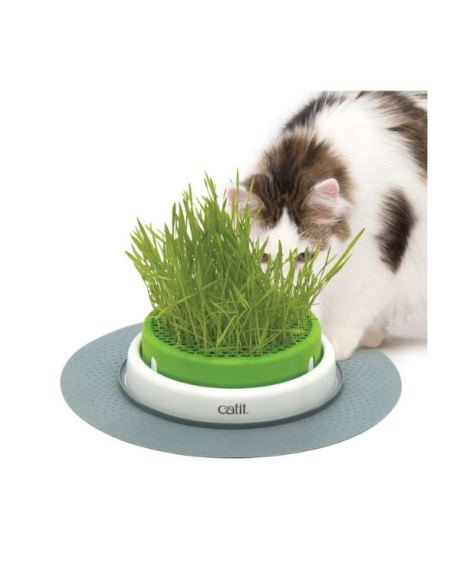 Catit Senses 2.0 Erva Gateira CatNip