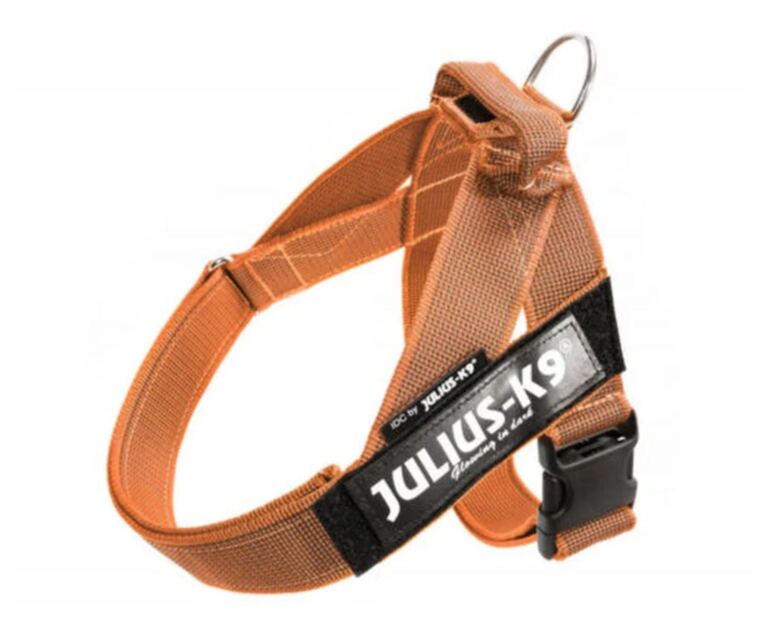 Arnês Julius K9 IDC Belt Laranja