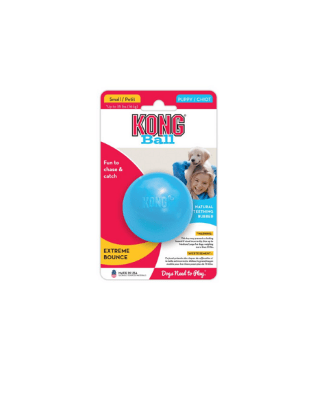 kong ball cachorrinho