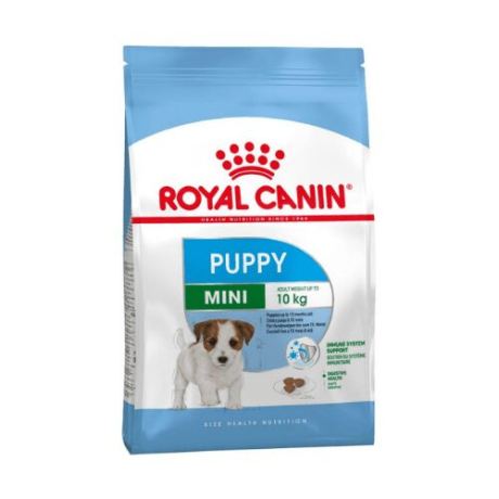 royal canin mini puppy