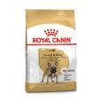 Royal Canin Bulldog Francês Adulto