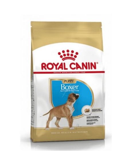 Royal canin boxer puppy
