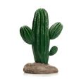 cactus 10 giganterra grande