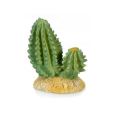 Cactus 4 Giganterra