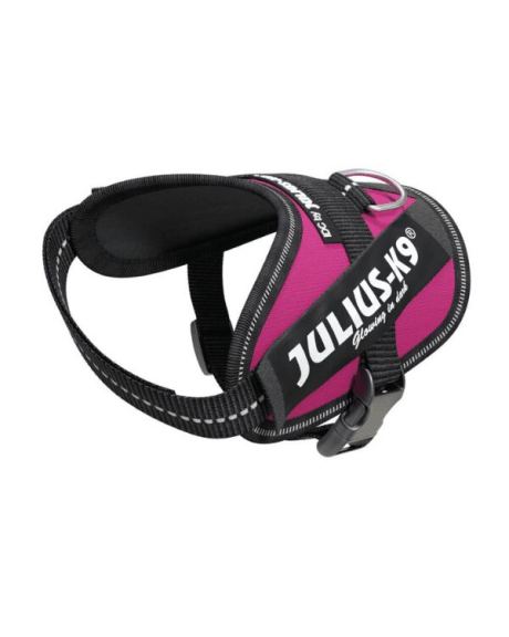 Arnês Julius K9 IDC Fúcsia baby2