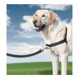Nayeco Easy Walk Harness Black é um peitoral com trela indicado para cães.