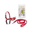 Easy walk vermelho