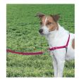 Easy Walk Harness Red é um peitoral com trela indicado para cães.