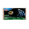 Musgo Sphagnum - Substrato Tropical Compactado 100g