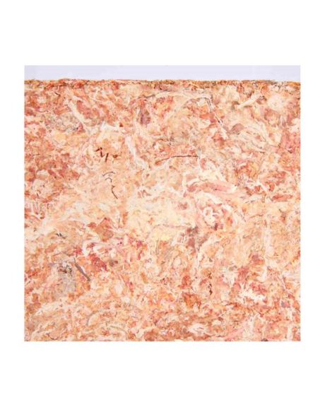 Musgo Sphagnum - Substrato Tropical Compactado 100g aberto 2