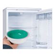 Nayeco Ice Bowl é um bebedouro/comedouro indicado para cães.