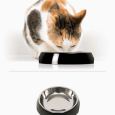 comedouro catit simples preto