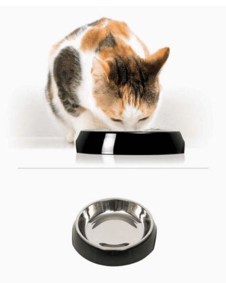 comedouro catit simples preto