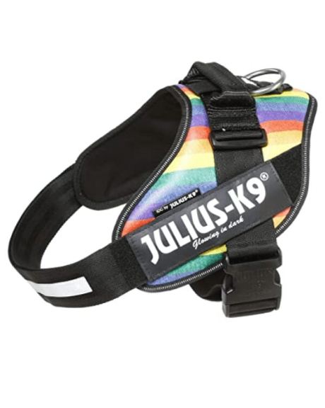 julius k9 arcoires