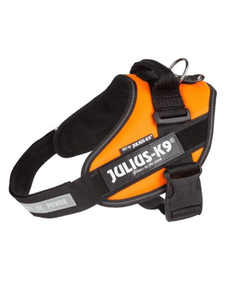 julius k9 idc laranja t0