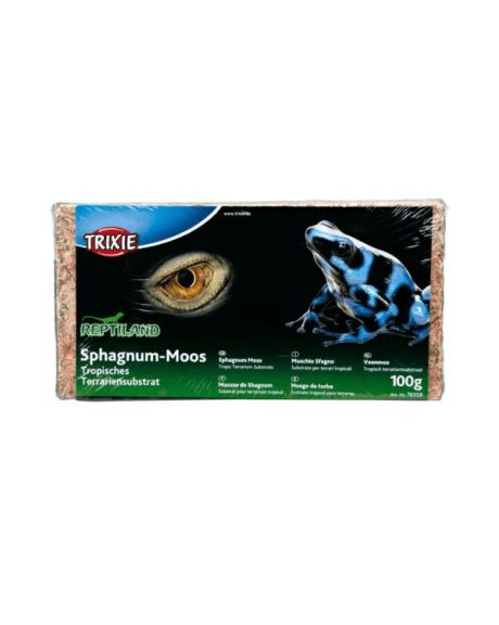 Musgo Sphagnum