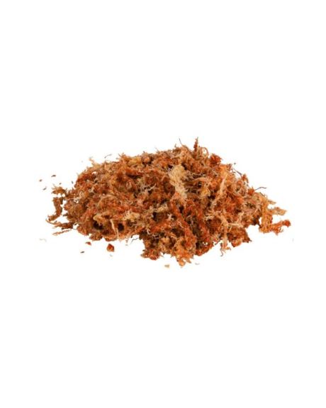 musgo sphagnum 100g