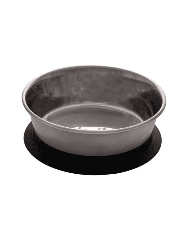 A Tigela com Ventosa de Aço Inoxidável Dogit