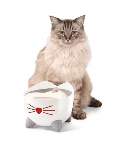 gato com inteligente